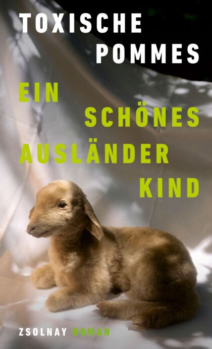 Buchcover von schoenes Auslsenderkind